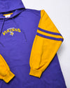 Vintage NFL Vikings Hoodie Size XL