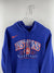 VINTAGE NIKE DETROIT PISTONS NBA HOODIE - SIZE L - SUSTAINABLE AND PRE-LOVED - Lyons way | Online Handpicked Vintage Clothing Store